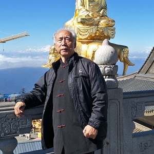 中国武术名家张希贵世界邮票全球发行
