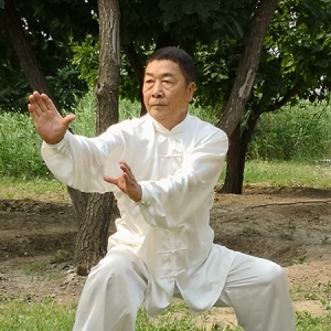 中国武术名家孙金生世界邮票全球发行