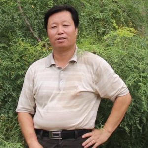 中国艺术名家杨晓旭世界邮票全球首发