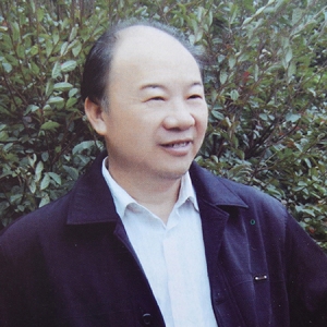 中国艺术名家王鹤阳世界邮票全球发行