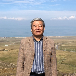 中国艺术名家周传玉世界邮票全球发行