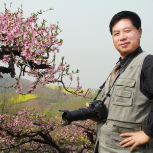 中国艺术名家蒋城关世界邮票全球发行
