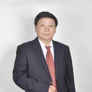 中国艺术名家 林柏生 世界邮票全球发行