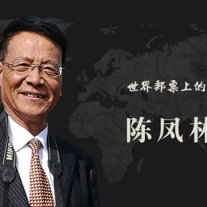 中国艺术名家 陈凤林 世界邮票全球发行