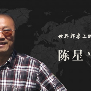中国艺术名家 陈星平 世界邮票全球发行